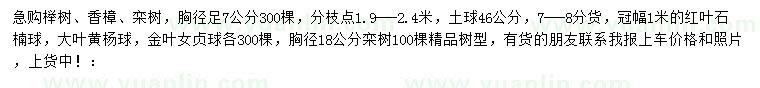 求购榉树、香樟、栾树等