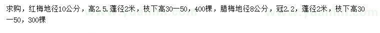 求购地径10公分红梅、8公分腊梅
