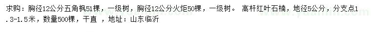 求购五角枫、火炬、高杆红叶石楠