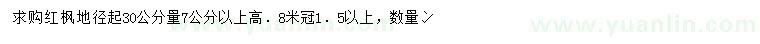 求购地径30公分量7公分以上红枫