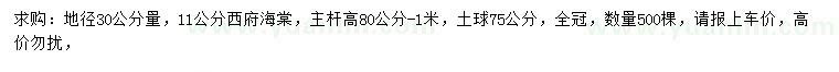 求购30公分量11公分西府海棠