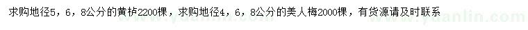 求购地径5、6、8公分黄栌、地径4、6、8公分美人梅