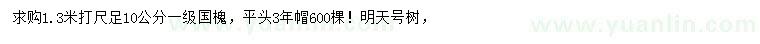 求购1.3米打尺10公分国槐