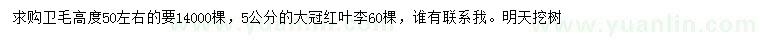 求购高50公分左右卫矛、5公分红叶李