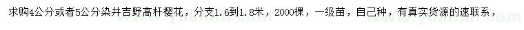 求购4公分或者5公分染井吉野高杆樱花