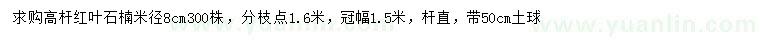 求购米径8公分高杆红叶石楠