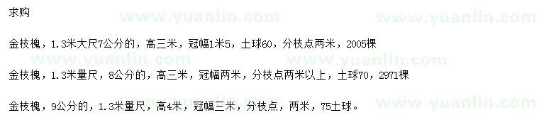 求购1.3米量7、8、9公分金枝槐