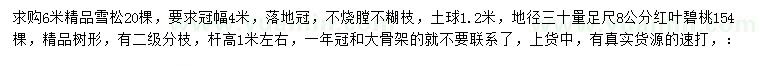 求购6米雪松、地径30量8公分红叶碧桃