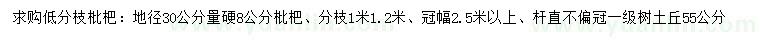 求购地径30公分量8公分枇杷