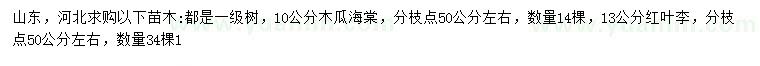 求购10公分木瓜海棠、13公分红叶李