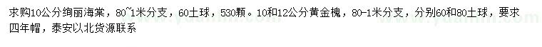 求购10公分绚丽海棠、10、12公分黄金槐