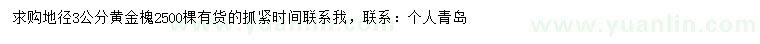 求购地径3公分黄金槐