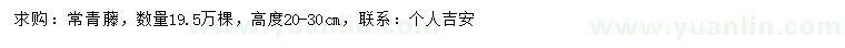 求购高20-30公分常青藤