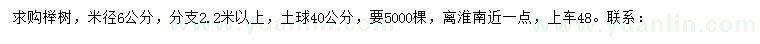 求购米径6公分榉树