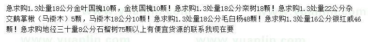 求购金叶国槐、栾树、鹅掌楸等