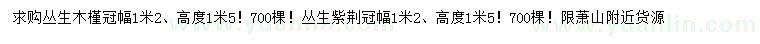 求购冠幅1.2米丛生木槿、丛生紫荆