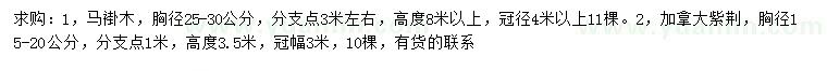 求购胸径25-30公分马褂木、胸径15-20公分加拿大紫荆