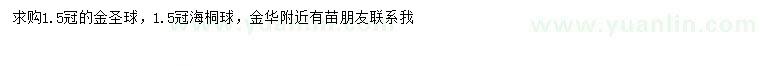 求购冠幅1.5米金圣球、海桐球