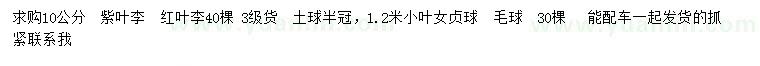 求购紫叶李、红叶李、小叶女贞球