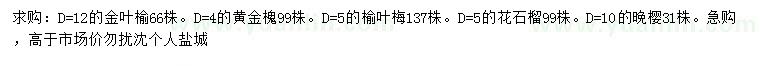 求购金叶榆、黄金槐、榆叶梅等