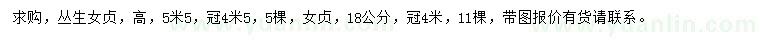 求购高5.5米丛生女贞、18公分女贞