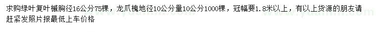 求购胸径16公分绿叶复叶槭、10公分量10公分龙爪槐