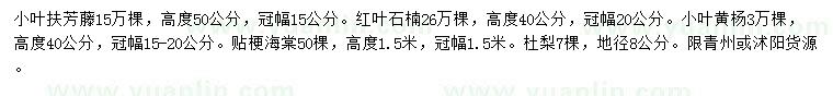 求购小叶扶芳藤、红叶石楠、小叶黄杨等