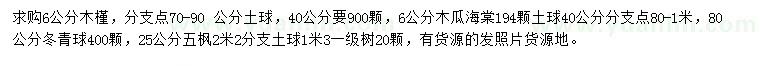 求购木槿、木瓜海棠、冬青球等