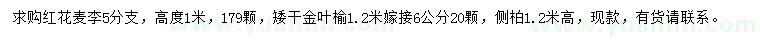 求购红花麦李、金叶榆、侧柏