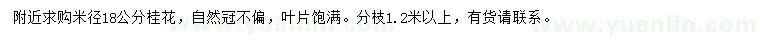 求购米径18公分桂花