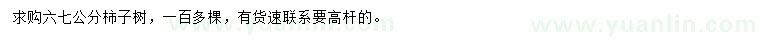 求购6、7公分柿子树