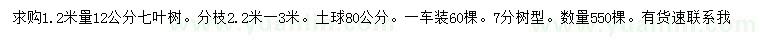 求购1.2米量12公分七叶树