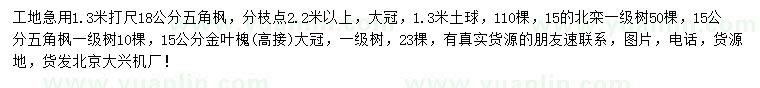 求购五角枫、北栾、金叶槐