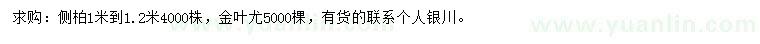 求购1-1.2米侧柏、金叶尤