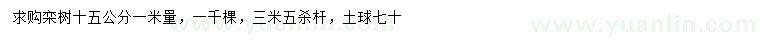 求购1米量15公分栾树