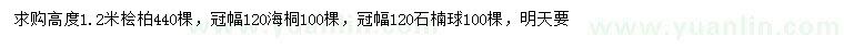 求购桧柏、海桐、石楠球