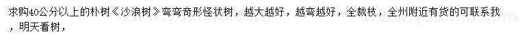 求购40公分以上朴树、沙浪树