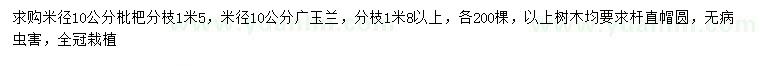求购米径10公分枇杷、米径10公分广玉兰