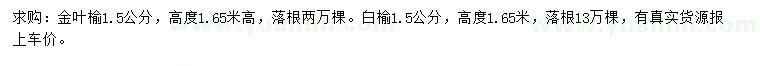 求购1.5公分金叶榆、白榆