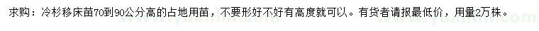 求购高70-90公分冷杉