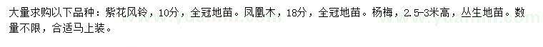 求购紫花风铃、凤凰木、杨梅