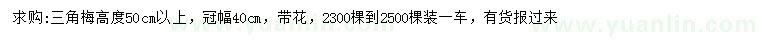 求购高50公分以上三角梅