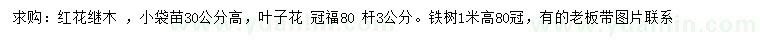 求购红花继木、叶子花、铁树