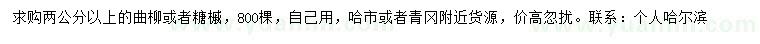 求购2公分以上曲柳、糖槭