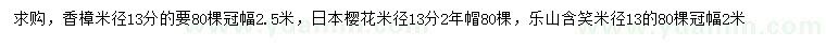 求购香樟、日本樱花、乐山含笑