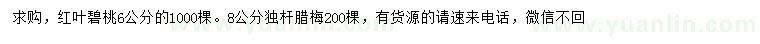 求购6公分红叶碧桃、8公分腊梅