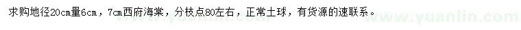 求购20公分量6、7公分西府海棠