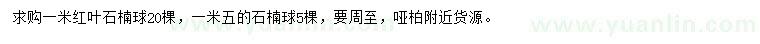 求购1米红叶石楠球、1.5米石楠球