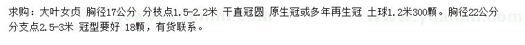 求购胸径17、22公分大叶女贞