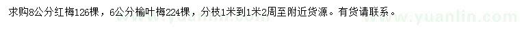 求购8公分红梅、6公分榆叶梅